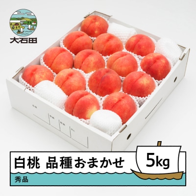 【先行予約】もも 白桃 秀品 品種おまかせ 化粧箱入り 約5kg 2026年産 ns-mohtx5