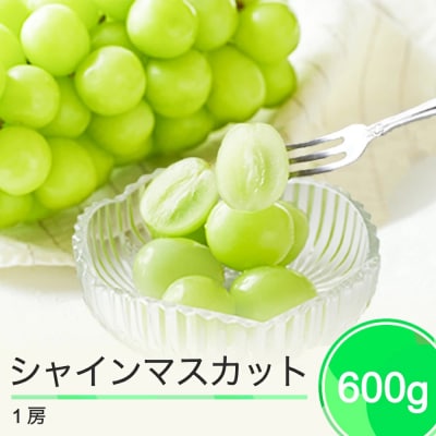 ぶどう シャインマスカット 秀品 600g 1房 令和7年産 2025年産 ns-busmx600