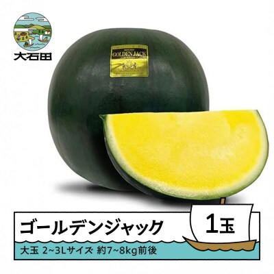 大玉 すいか 大玉 ゴールデンジャック 2~3Lサイズ×1玉 2026年産 令和8年産 山形県産