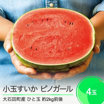 すいか 小玉 ピノガール 約2kg×4玉 2025年産 令和7年産 山形県産 大石田町