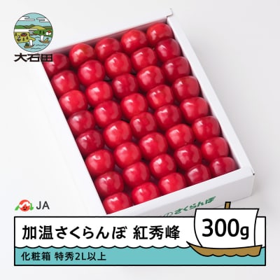 【先行予約】 加温 さくらんぼ 紅秀峰 特秀品 2L玉 化粧箱入 300g 令和9年産