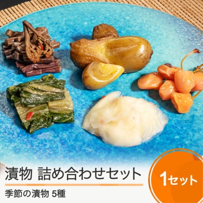漬物 季節の漬け物 詰め合わせ 3,000円分(5種)