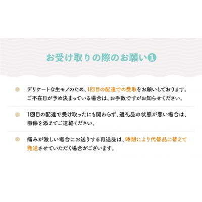 すいか 訳あり ご家庭用 大玉 ゴールデンジャック 約6〜8kg前後 1玉 2025年産 令和7年産