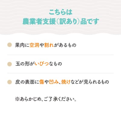 すいか 訳あり ご家庭用 大玉 羅皇ザ・スウィート 約6〜8kg前後 1玉 2025年産 令和7年産