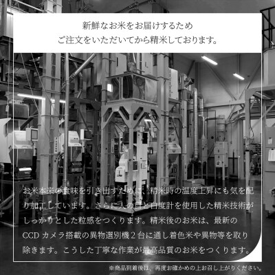 【5月下旬発送】米 あきたこまち 10kg 5kg×2 令和6年産 山形県産 無洗米