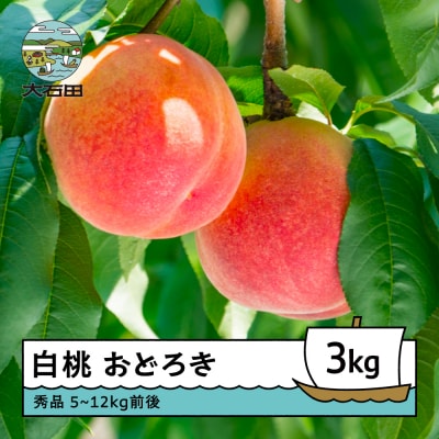 桃 もも 白桃 おどろき 3kg 山形県産 2026年度産 ry-moodx3000