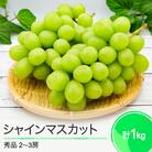 ぶどう シャインマスカット 葡萄 合わせて1kg 2~3房 山形県産
