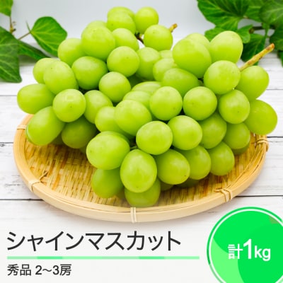 ぶどう シャインマスカット 葡萄 合わせて1kg 2~3房 山形県産