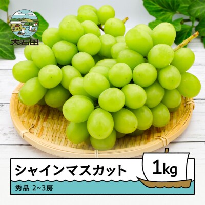 【先行予約】 ぶどう シャインマスカット 令和8年産 2026年産 葡萄 約1kg 2~3房