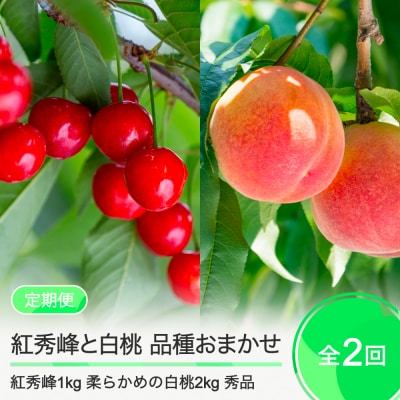 【2回定期便】さくらんぼ 紅秀峰 1kg 柔らかめの白桃 2kg 品種おまかせ 桃 2025年産  