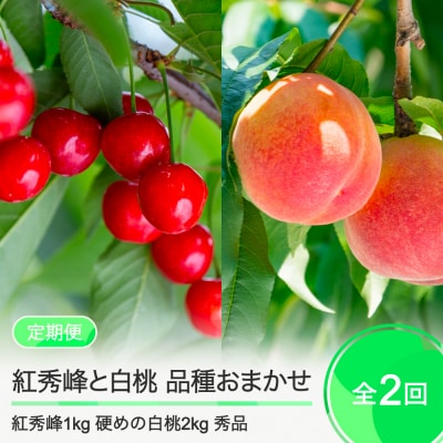 【2回定期便】さくらんぼ 紅秀峰1kg 硬めの白桃2kg 品種おまかせ 桃 2025年産
