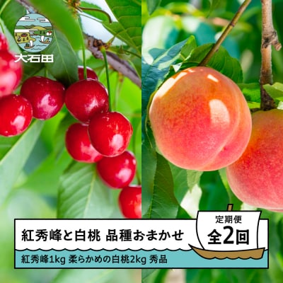 【2回定期便】さくらんぼ 紅秀峰1kg 硬めの白桃2kg 品種おまかせ 令和8年産