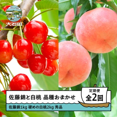 【2回定期便】さくらんぼ 佐藤錦 1kg 柔らかめ白桃 2kg 品種おまかせ 令和8年産