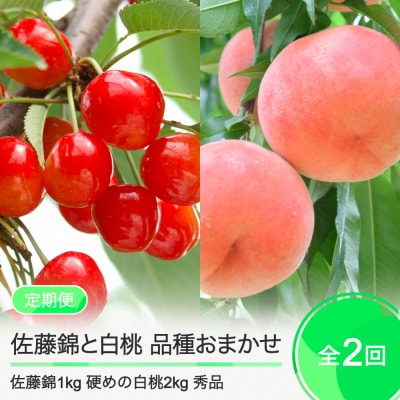 【2回定期便】さくらんぼ 佐藤錦1kg 硬めの白桃2kg 品種おまかせ 桃 2025年度産