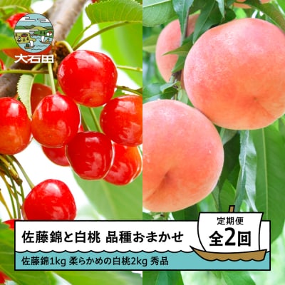 【2回定期便】さくらんぼ 佐藤錦1kg 硬めの白桃2kg 品種おまかせ 令和8年産