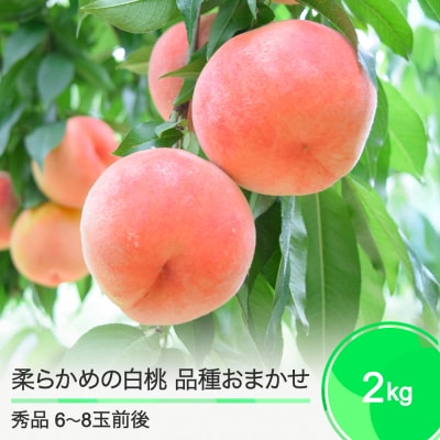 桃 もも 柔らかめの白桃2kg 品種おまかせ 2025年度産 ry-mohts2000