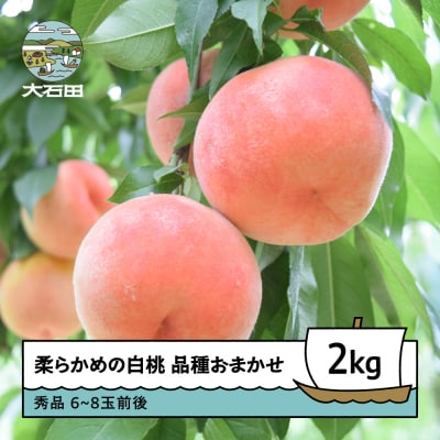 桃 もも 柔らかめの白桃2kg 品種おまかせ 2026年度産 ry-mohts2000