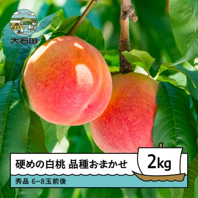 桃 もも 硬めの白桃2kg 品種おまかせ 2026年度産 ry-mohth2000