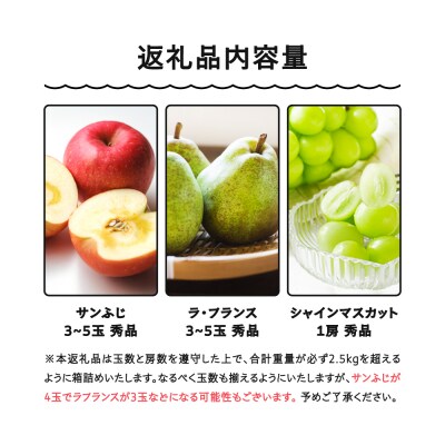 シャインマスカット サンふじ ラ・フランス 秀品 3種 詰合せ 2.5kg 化粧箱入り 2025年産