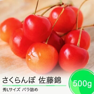 さくらんぼ 佐藤錦 秀Lサイズ 500g バラ詰め 2025年産 山形県産