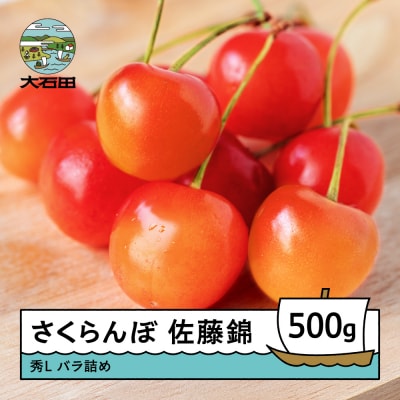 さくらんぼ 佐藤錦 秀Lサイズ バラ詰め 500g 令和9年産 山形県産