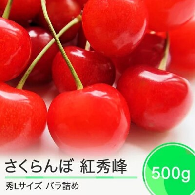 さくらんぼ 紅秀峰 秀Lサイズ 約500g バラ詰め 2025年産 山形県産