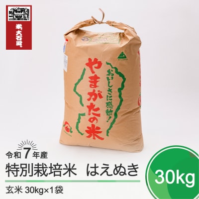 新米 米 はえぬき 30kg 令和7年産 【2025年12月下旬発送】山形県産 特別栽培米 玄米