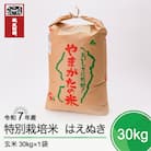 新米 米 はえぬき 30kg 令和7年産 【2025年12月上旬発送】山形県産 特別栽培米 玄米  