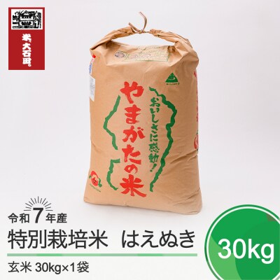 新米 米 はえぬき 30kg 令和7年産 【2025年11月下旬発送】山形県産 特別栽培米 玄米  