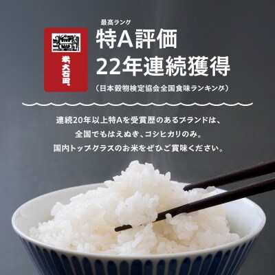 【先行予約】 新米 米 はえぬき 30kg 玄米 令和8年産 特別栽培米 2026年11月下旬発送