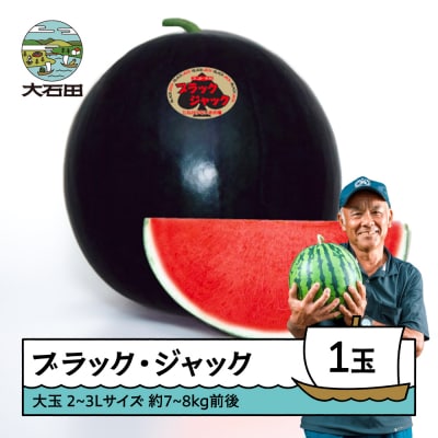 大玉 すいか ブラックジャック 2~3Lサイズ×1玉 2026年産 令和8年産 山形県産