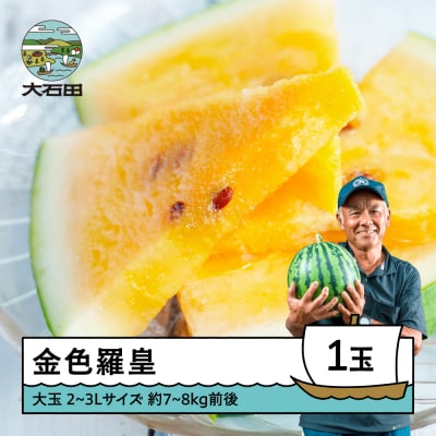 大玉 すいか 金色羅皇 2~3Lサイズ×1玉 2026年産 令和8年産 山形県産