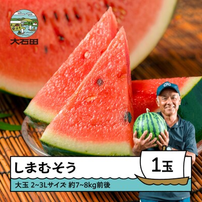 大玉 すいか しまむそう 2~3L×1玉 フルーツ スイカ 2026年産 令和8年産 山形県産