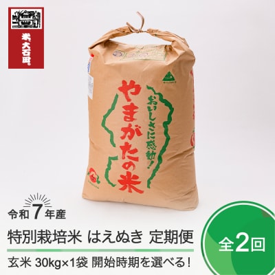 米 【玄米2回定期便 12月・3月発送】 はえぬき 30kg×2回 令和7年産  山形県