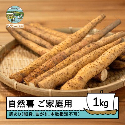 雪国育ちの自然薯 訳あり スティック 約1kg 野菜 やまいも じねんじょ 山形県 