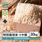 新米 米 令和7年産 米 つや姫 30㎏ 大石田町産 特別栽培米 玄米 ks-tsgxa30