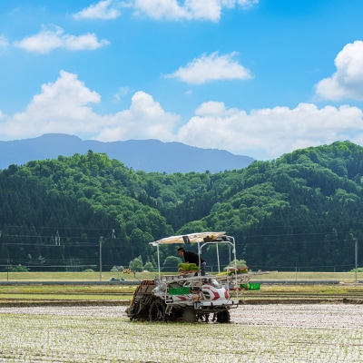 令和7年産 米 つや姫 30kg 大石田町産 特別栽培米 玄米 ks-tsgxa30