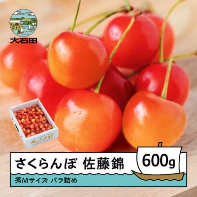 さくらんぼ 佐藤錦 秀Mサイズ バラ詰め 600g (600g×1箱) 令和9年産 山形県産