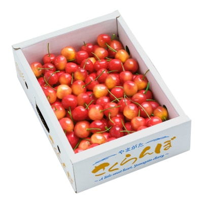 さくらんぼ 佐藤錦 秀Mサイズ 600g(600g×1) バラ詰め 2026年産 山形県産