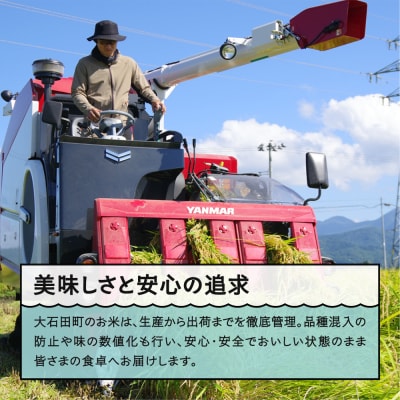 新米 米 【玄米2回定期便 2月・5月発送】 はえぬき 30kg×2回 令和7年産  山形県