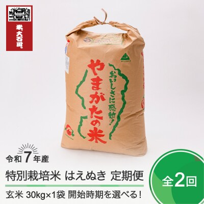 新米 米 【玄米2回定期便 3月・6月発送】 はえぬき 30kg×2回 令和7年産  山形県