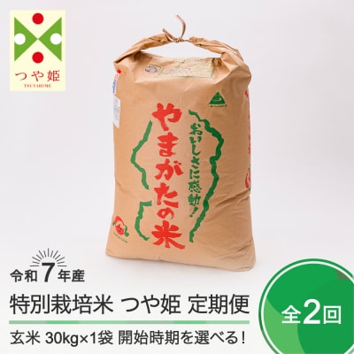 新米 米 【玄米2回定期便 3月・6月発送】 つや姫 30kg×2回 令和7年産  山形県