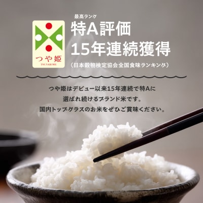 新米 米 【玄米2回定期便 3月・6月発送】 つや姫 30kg×2回 令和7年産  山形県