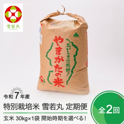 新米 米 【玄米2回定期便 3月・6月発送】 雪若丸 30kg×2回 令和7年産 山形県