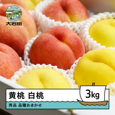 【先行予約】黄桃&白桃 品種おまかせ 計約3kg 2026年産 令和8年産 ry-mohot3000