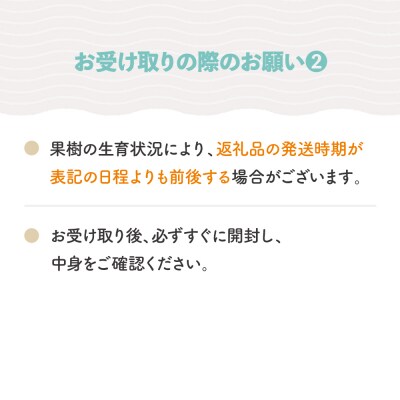 【先行予約】シャインマスカット ジュエリーBOX 24粒 2026年産 令和8年産