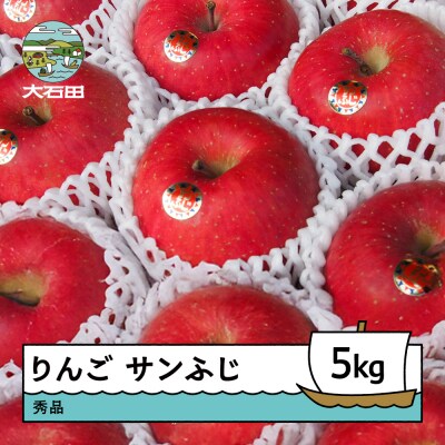 りんご サンふじ 秀品  約5kg 2026年産 令和8年産 ry-risfx5000