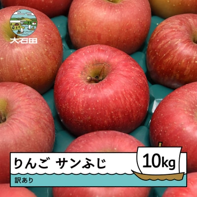 りんご サンふじ 訳あり 約10kg 2026年産 令和8年産 ry-risfw10000