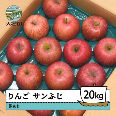 りんご サンふじ 訳あり 約20kg 2026年産 令和8年産 ry-risfw20000