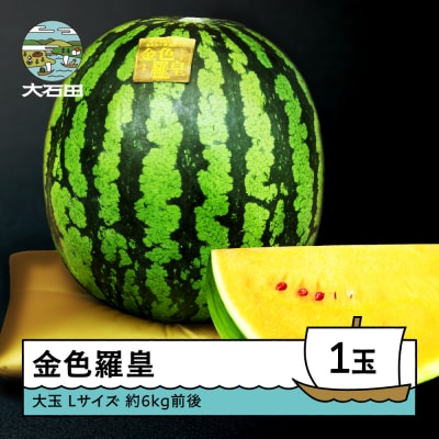大玉 すいか 金色羅皇 Lサイズ×1玉 2026年産 令和8年産 山形県産